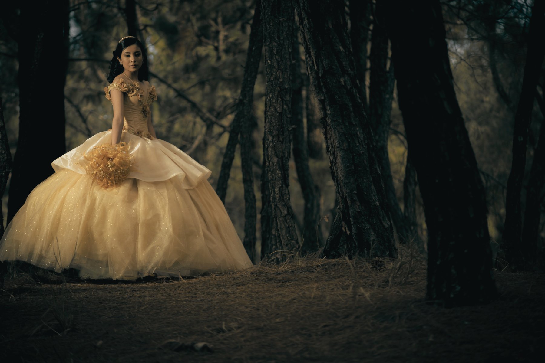 Female Teenager Wearing Her Yellow Ball Gown in the Forest