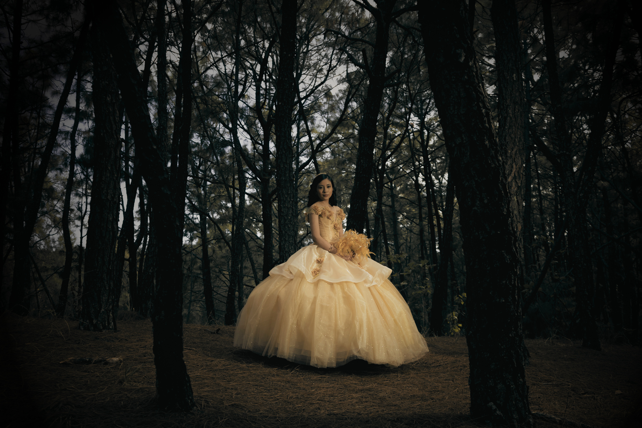Female Teenager Wearing Her Yellow Ball Gown in the Forest