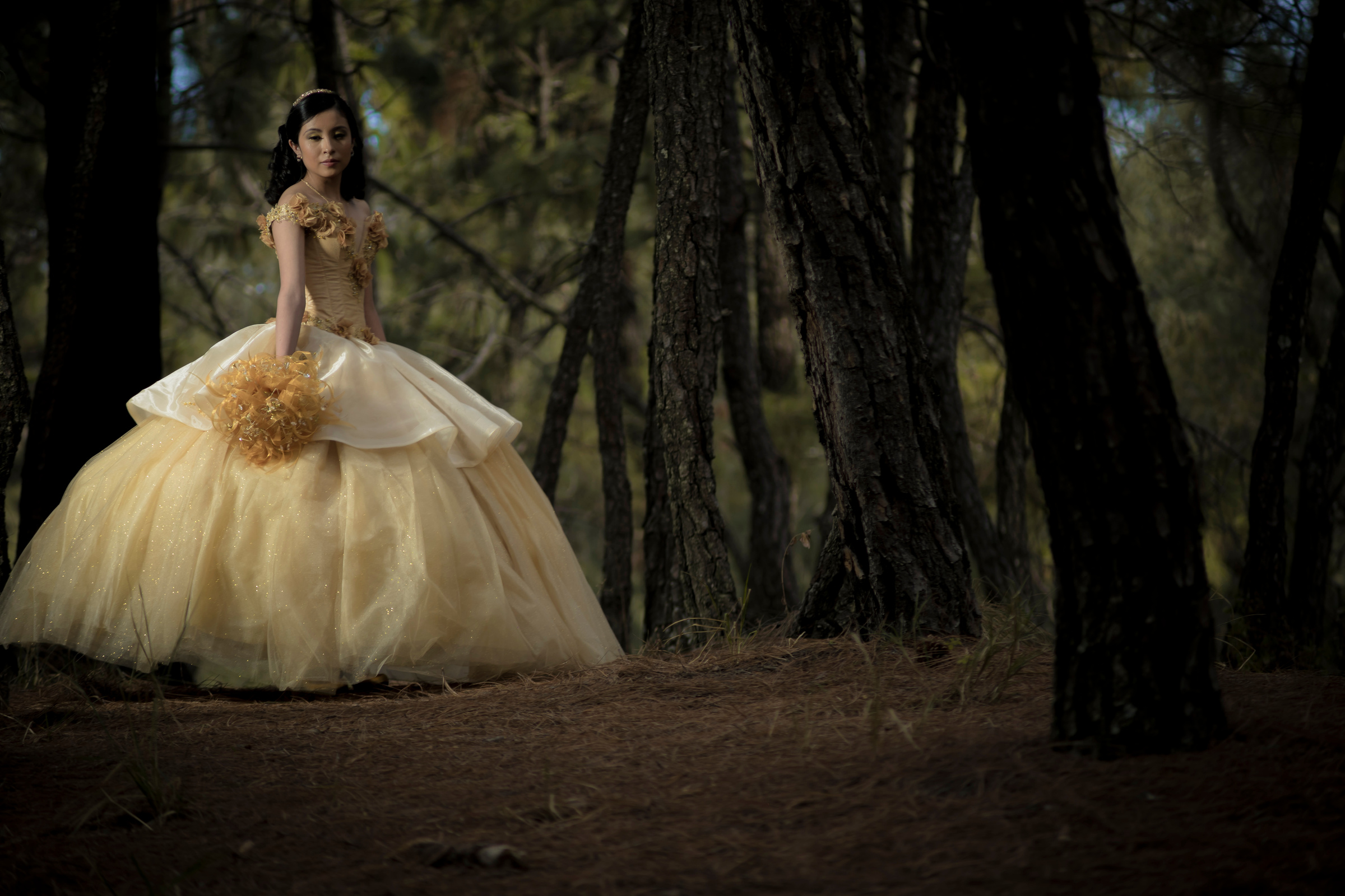 Female Teenager Wearing Her Yellow Ball Gown in the Forest