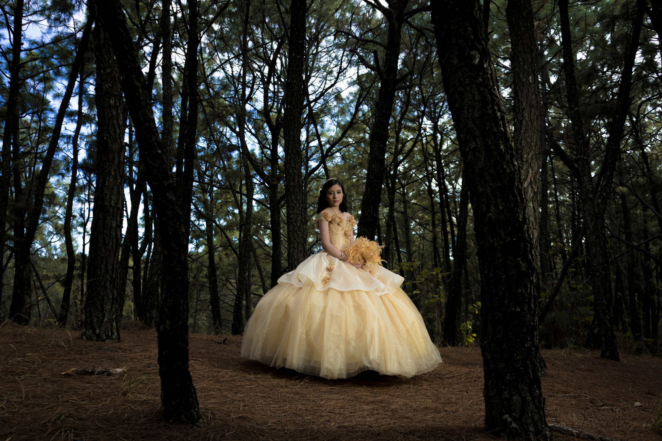 Female Teenager Wearing Her Yellow Ball Gown in the Forest